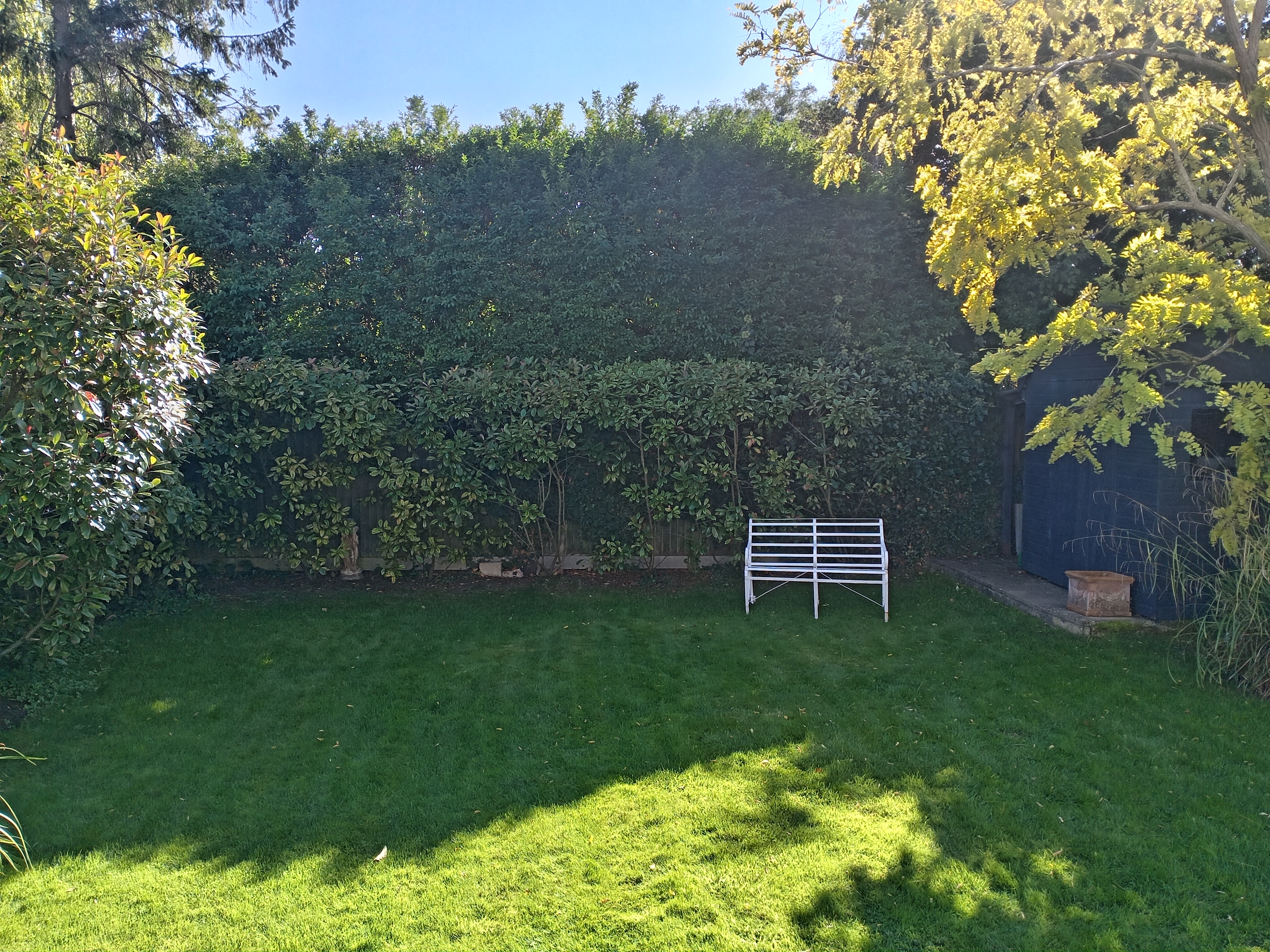 Lawn Mowing And Care